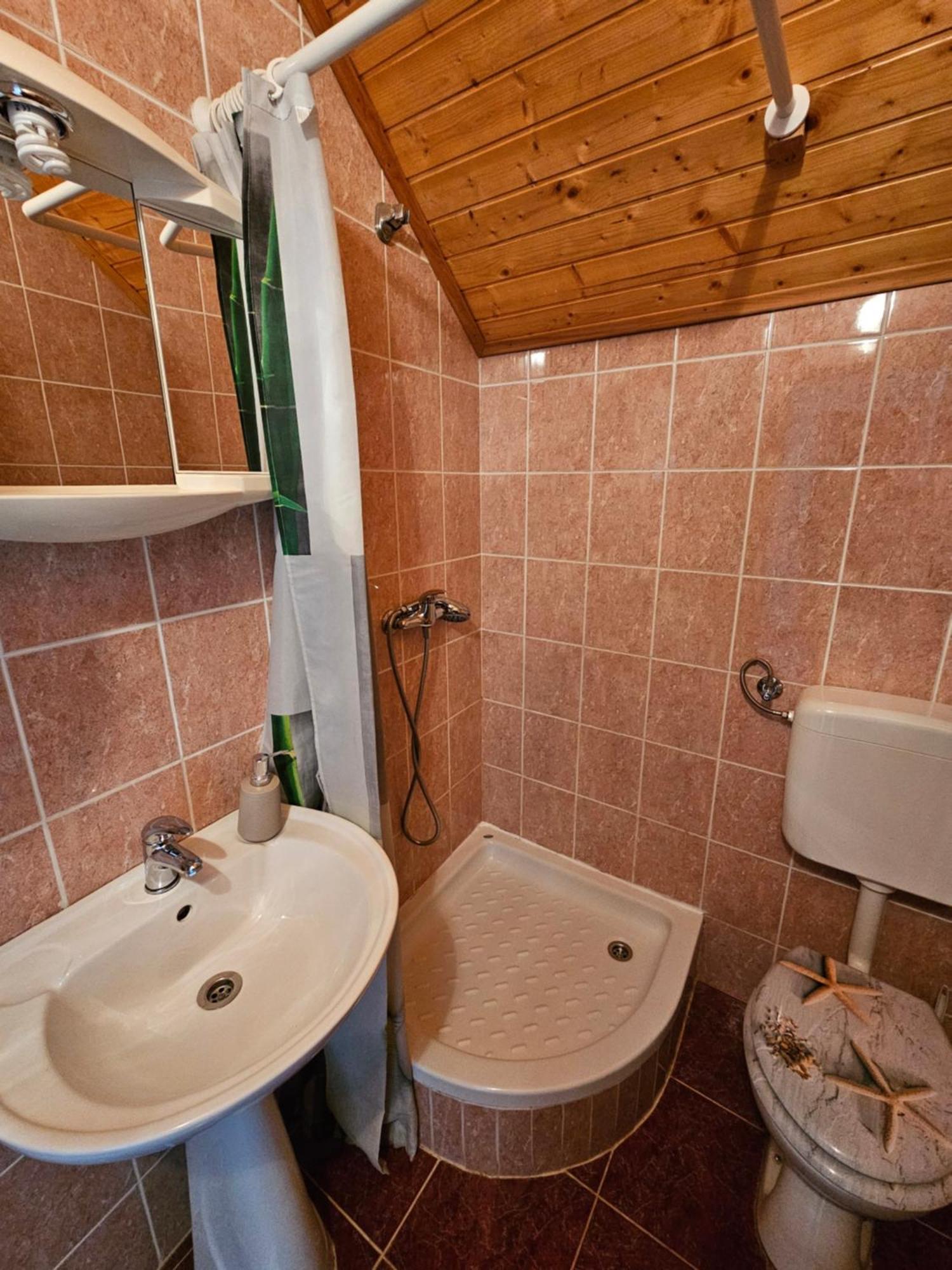 Apartman Mile - Holiday House 스몰리야나크 객실 사진