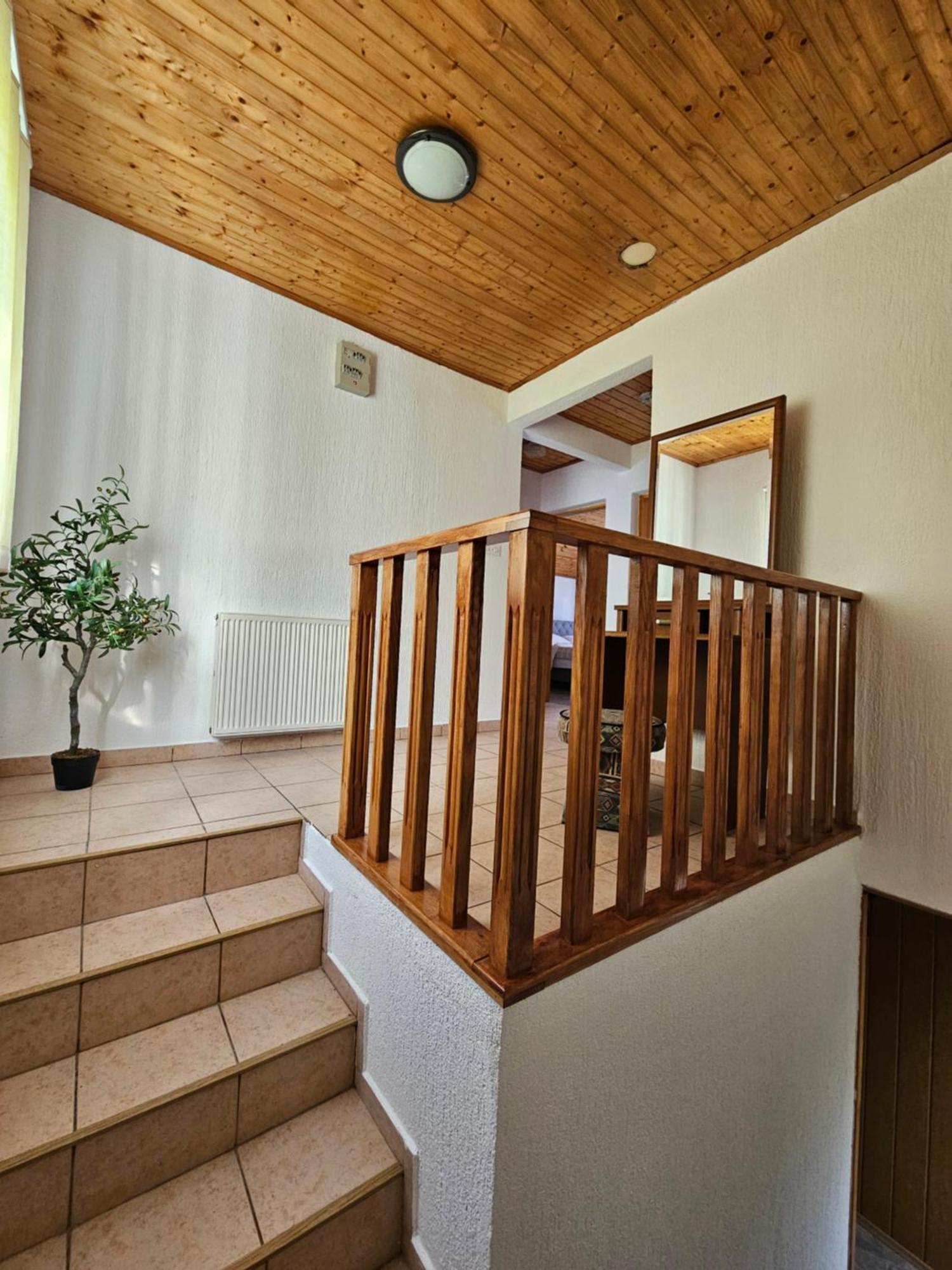 Apartman Mile - Holiday House 스몰리야나크 외부 사진